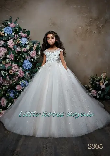 Gemstone and Lace applique princess ball gown with cap sleeves
