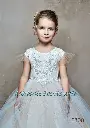 Angel lace sleeve dress with puff tulle ball gown skirt