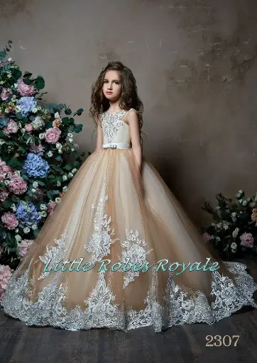 Sleeveless princess dress with lace applique detail corset and sheer neckline